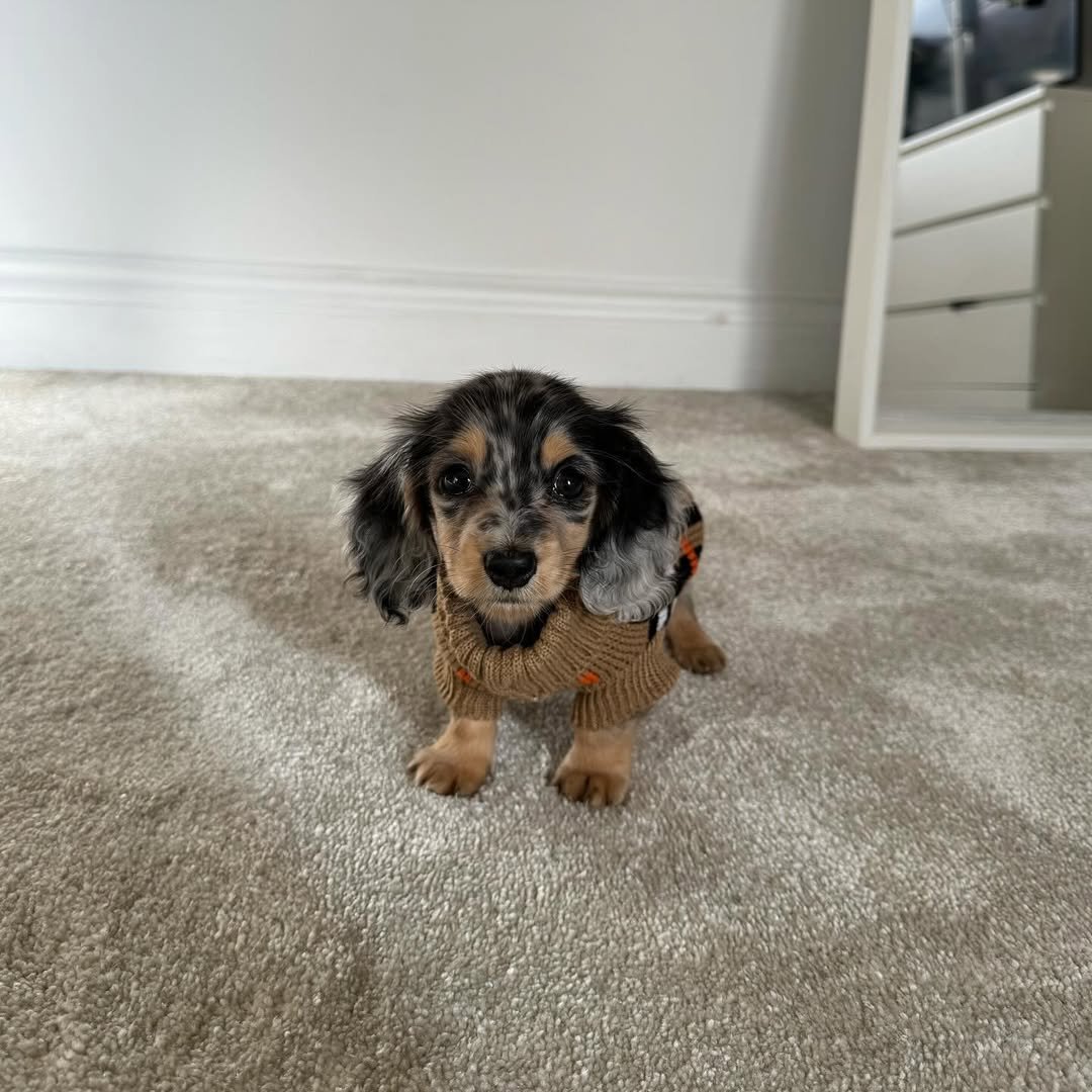 Minnie