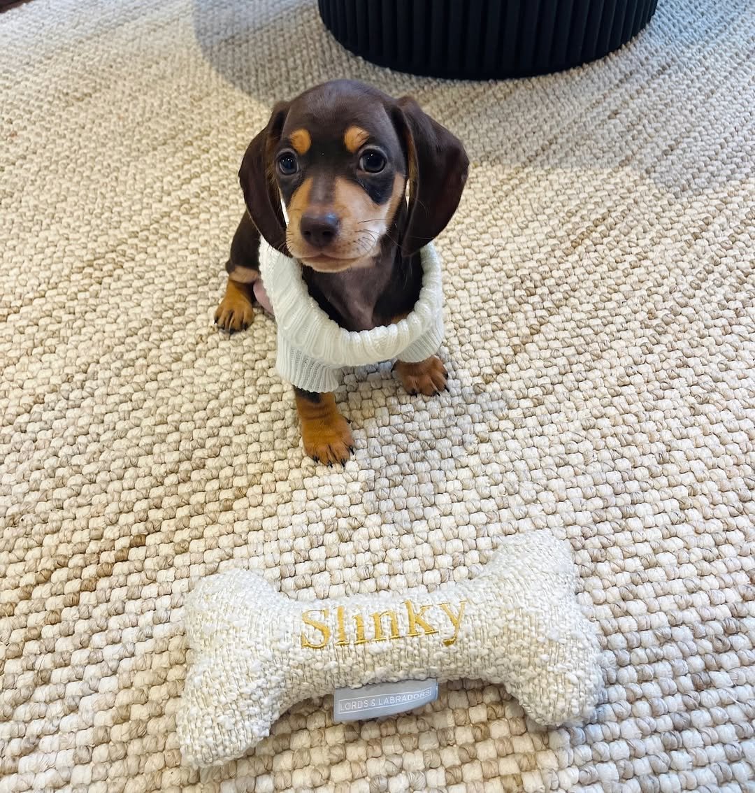 Slinky